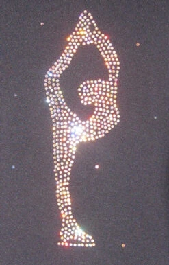 Ice Skating Jacket With "Biellmann" Applique -SkateHaven Store 038 63034.1667938333