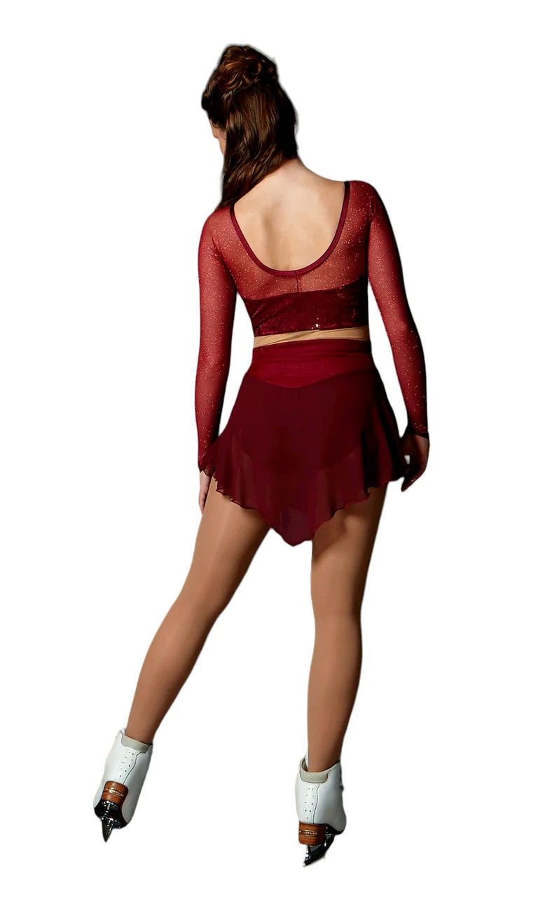 Elite Xpression - Burgundy Crop Top Dress With Mesh (15% OFF, Size Small) 4 Elite Xpression - Burgundy Crop Top Dress With Mesh (15% OFF, Size Small) - Image 2