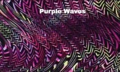 Poly/Spandex Venetta Fit Jacket - 6 Colors Available 11 Poly/Spandex Venetta Fit Jacket - 6 Colors Available -SkateHaven Store 2 72892.1545320868