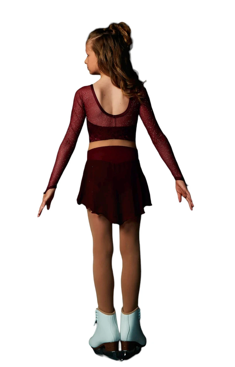 Elite Xpression - Burgundy Crop Top Dress With Mesh (15% OFF, Size Small) 5 Elite Xpression - Burgundy Crop Top Dress With Mesh (15% OFF, Size Small) - Image 3