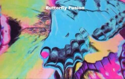 Poly/Spandex Venetta Fit Jacket - 6 Colors Available 12 Poly/Spandex Venetta Fit Jacket - 6 Colors Available -SkateHaven Store 3 68205.1545320868