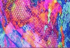 Polartec Venetta Scatter Skate - Neon Lights -SkateHaven Store 5 21090.1545330907